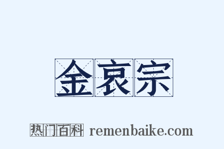 金哀宗是什么意思的图片